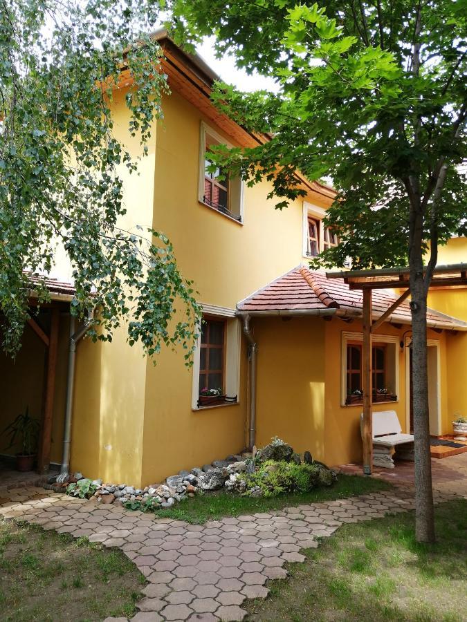 Karpatia Panzio Bed and Breakfast Esztergom Eksteriør billede
